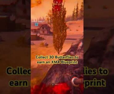 *New* Red Butterfly Secret Challenges