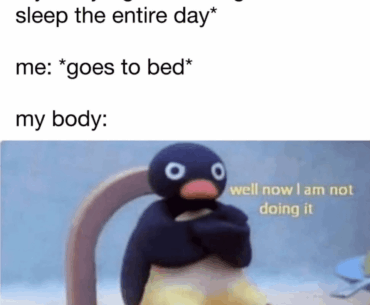 Gamer's every night routine