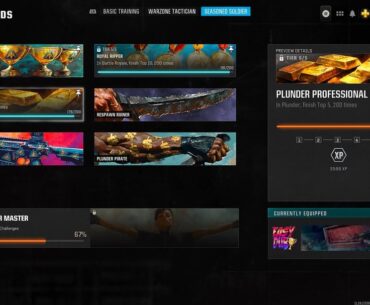 Plunder Professional Calling Card