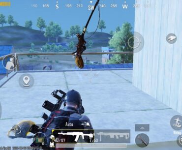What was this?.