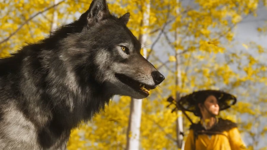 Ghost of Yotei Wolf