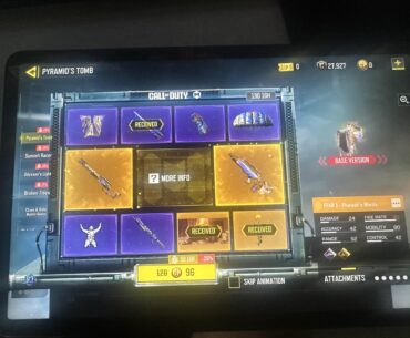If i buy the whole draw, both guns will be counted towards prestige, right?