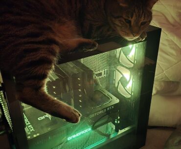So what's everyone's opinion on this? Should I just get him his own pc?