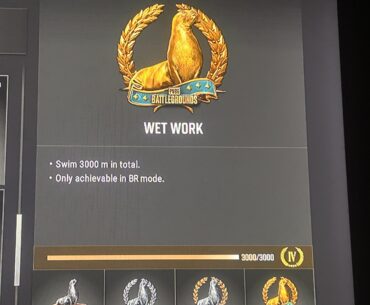 Anybody else rocking the wet work emblem