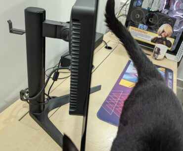 First OLED monitor (ignore cat)