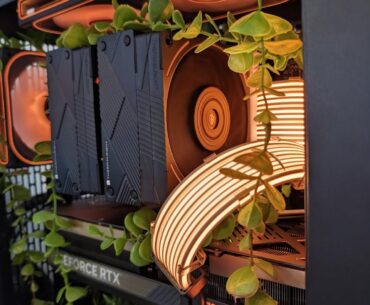 I don't know what to call this build... Vegan?