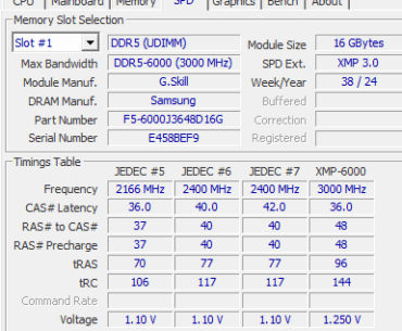 GSkill Ripjaws F5-6000J3648D (samsung)