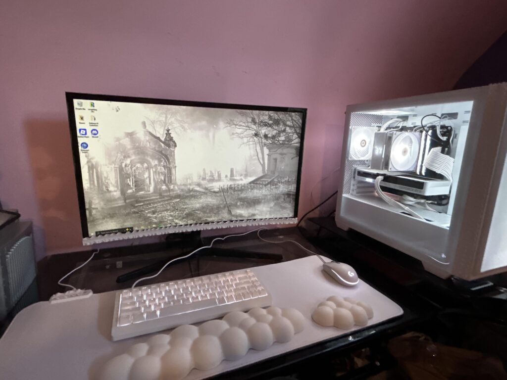 Girlfriend’s new battle station