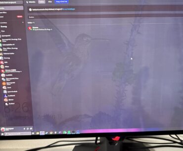 F*ck OLED monitors