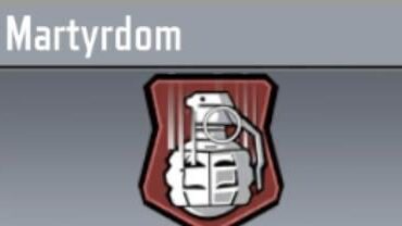 Besides this thing that we all don’t like to talk about, what perk do you think deserves the big nerf?