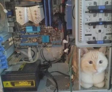 Why is my PC not turning on?