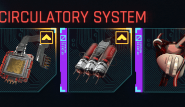 i call this the holy trinity