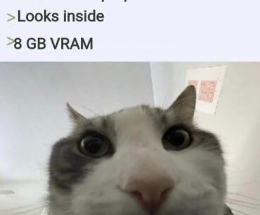 Nvidia be like