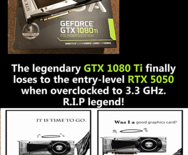 Long live the budget build king