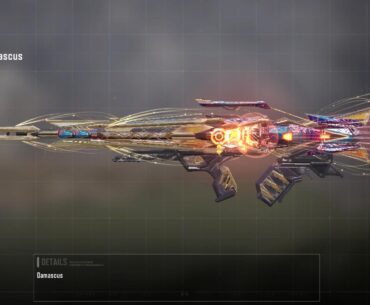 The most pathetic camo coverage on any gun in the entire game and it's even a mythic.