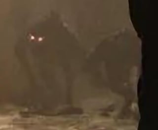 What are these things on 4 legs in the bo7 zombies image?