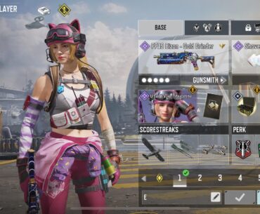 What perks do yall like the best?