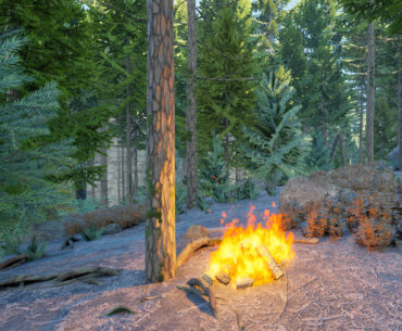 A campfire in the woods