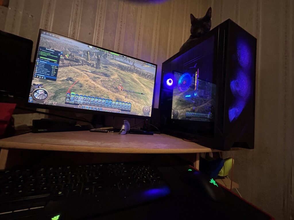 Setup in progress