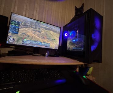 Setup in progress
