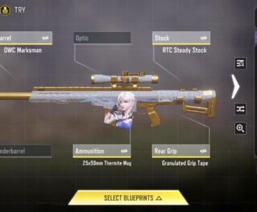 A friend of mine sent me this loadout and asked for a pvp lmao (ads was 705ms)