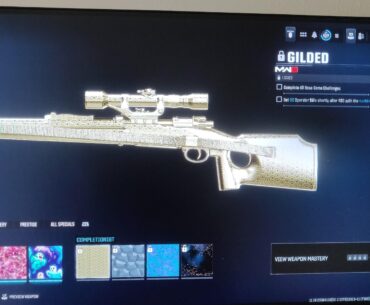 Kar98K camo glitch.
