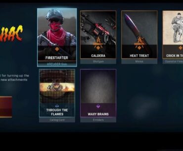 Does anyone have this bundle?