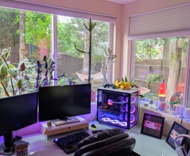 Sanctuary