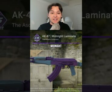 The BEST AK in CS2 #cs2 #csgo