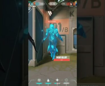 When Pocket Sage is left to clutch