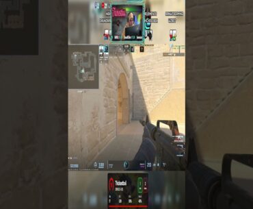 Counter Strike 2 shorts Solqo Plays 3101