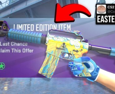 New CS2 Limited Item Has a Strange Secret..