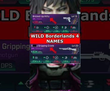 Some WILD NAMES in Borderlands 4