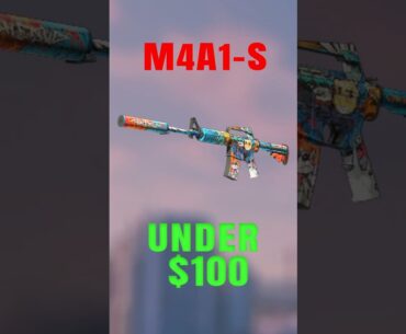 Best M4A1-S Under $100 | Counter Strike 2  #counterstrike