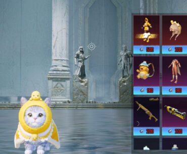 Would I be able to get both the cat companion and the yellow outfit for under 400 Lucky Coins?