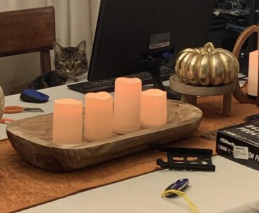 They just hire anyone to fix computers these days huh