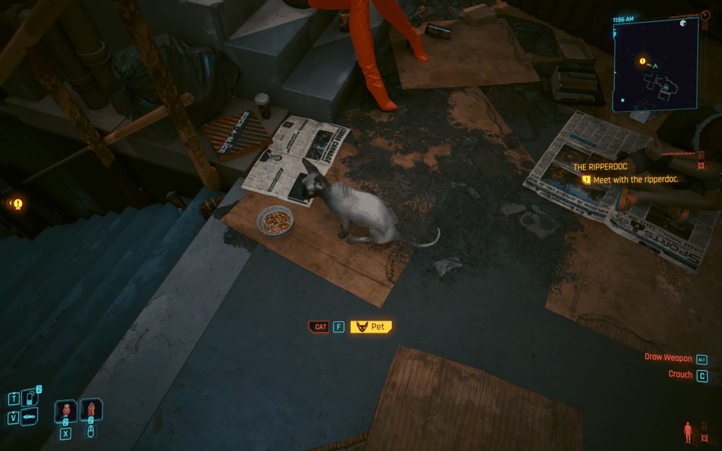Do you pet the cat?