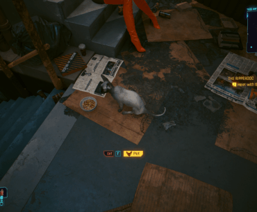 Do you pet the cat?