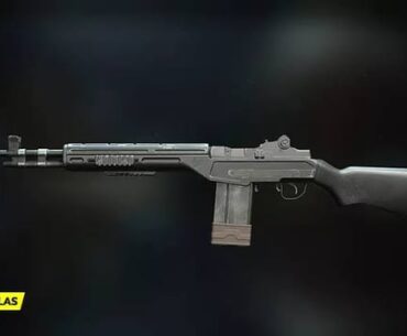 From the leaked guns which one you are excited for ?