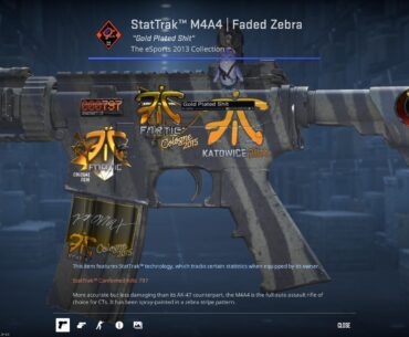 I wish we had the option to reposition name tags