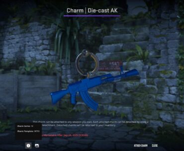 Is this a worth any overpay?