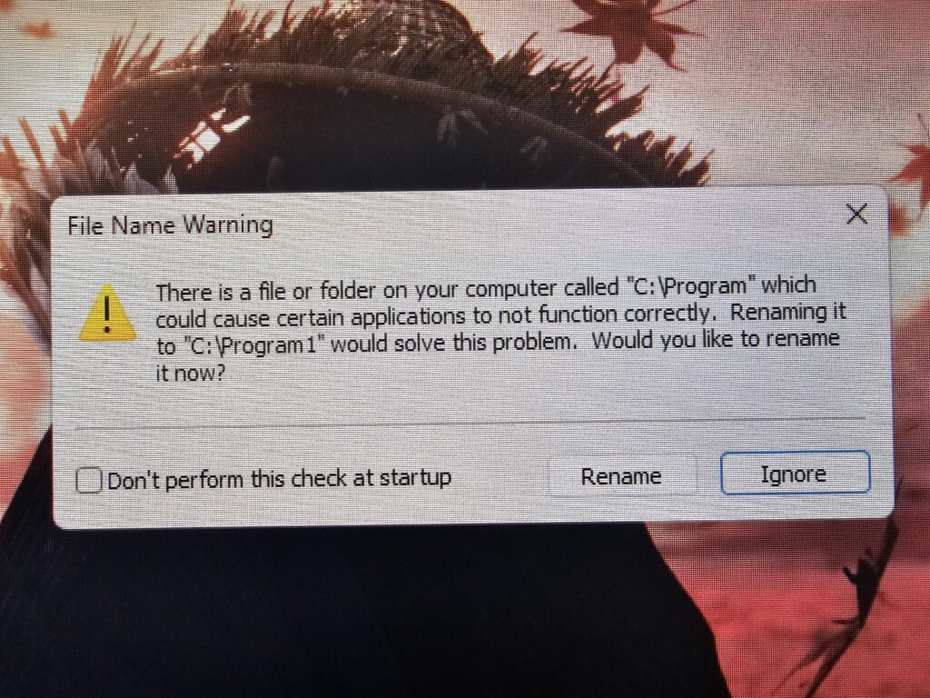 File Name Warning: should i rename or ignore?