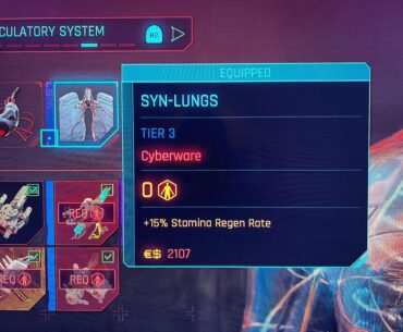 Synth-Lungs (i’m thinking this is cyber wear that transferred over from a PS4 game.)