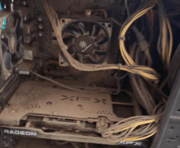 Reminder to check for dust regularly, especially when you have a dog in the house