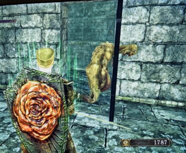 Dark Souls 2 can be a real headache