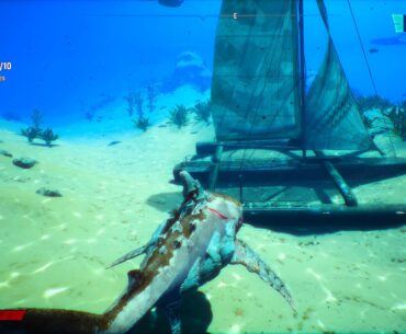 Looking for Marine RPG