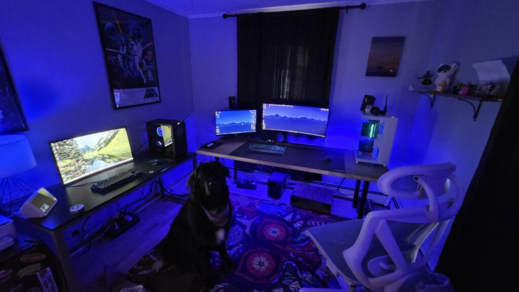 A work in progress! plus the doggo