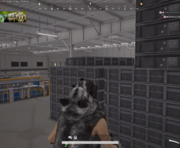 🐺AlphaWolf Asserting Dominance