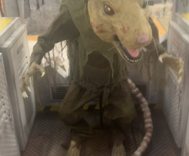 Found the Rat King at spirit halloween
