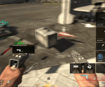 Wild shot - sniper